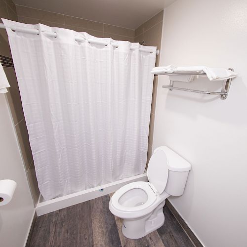 This image shows a bathroom with a shower and white shower curtain, a toilet, a towel rack with towels, and a toilet paper holder on the wall.